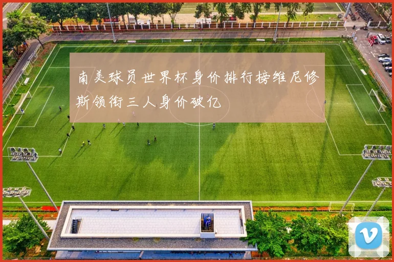 南美球员世界杯身价排行榜维尼修斯领衔三人身价破亿